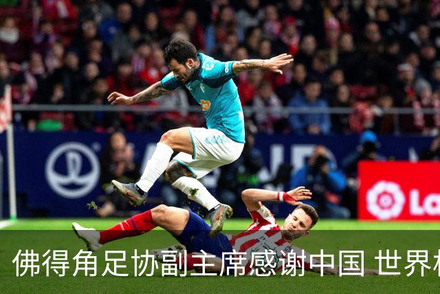 佛得角足协副主席感谢中国 世界杯后将安排与国足友谊赛