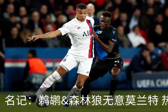 名记：鹈鹕&森林狼无意莫兰特 热火也不急于尝试其与字母哥的搭档
