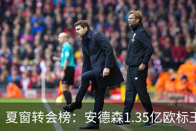 夏窗转会榜：安德森1.35亿欧标王 5000万欧+交易已11笔